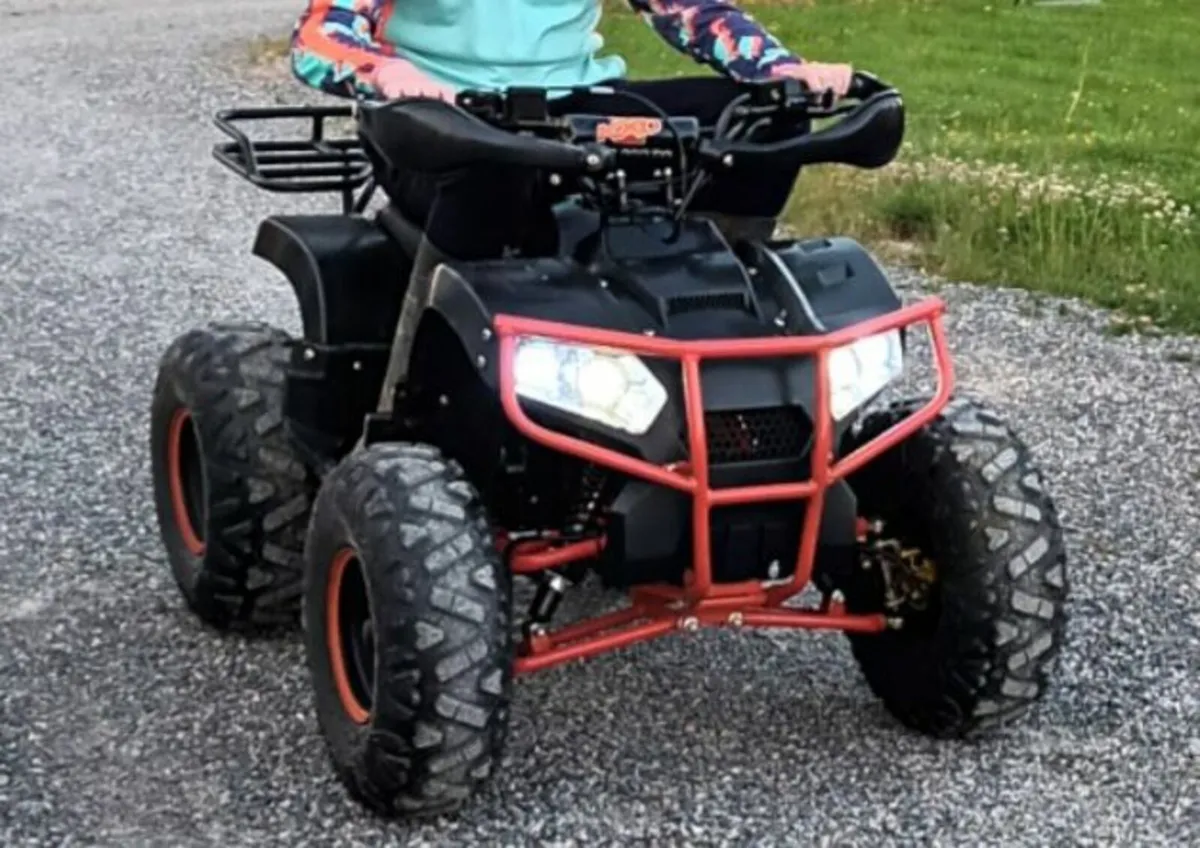 Quad Bike - Image 1