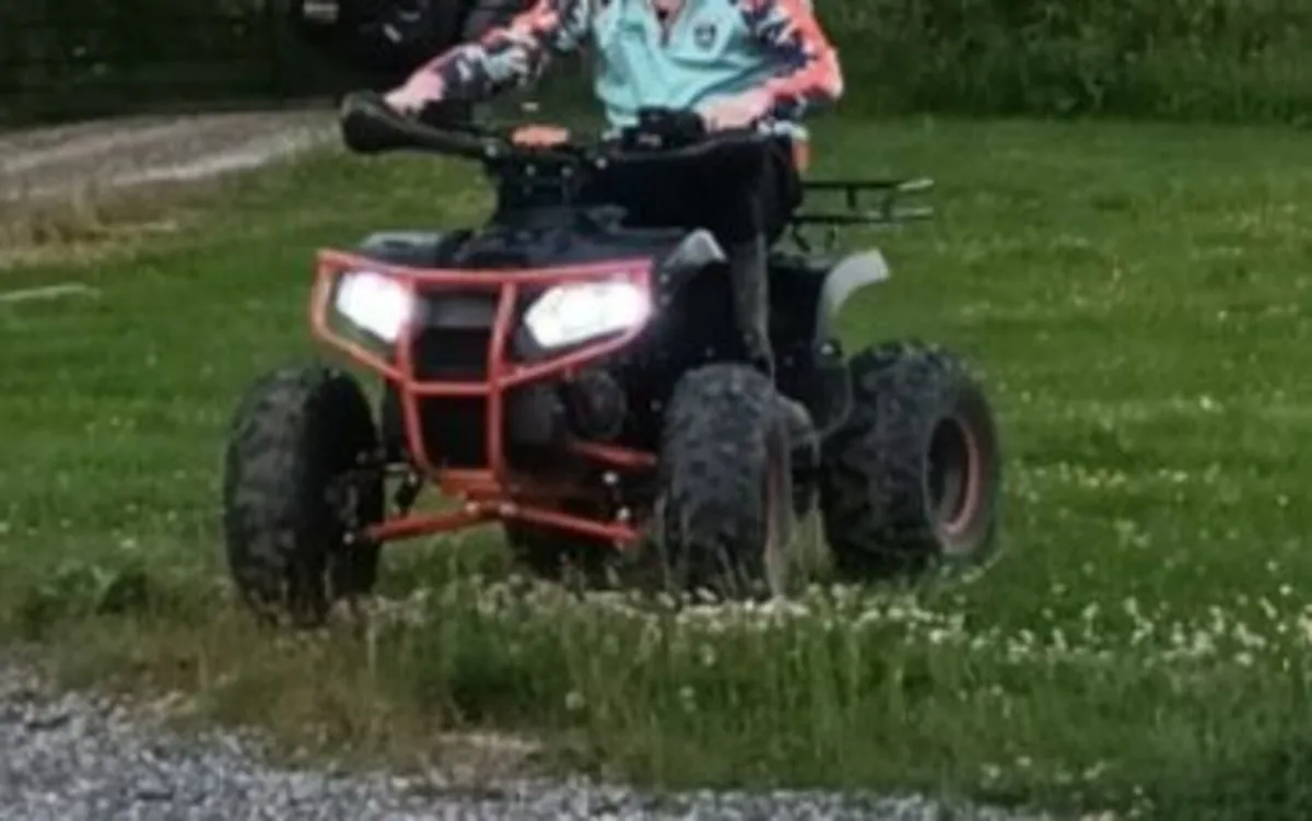 Quad Bike - Image 2