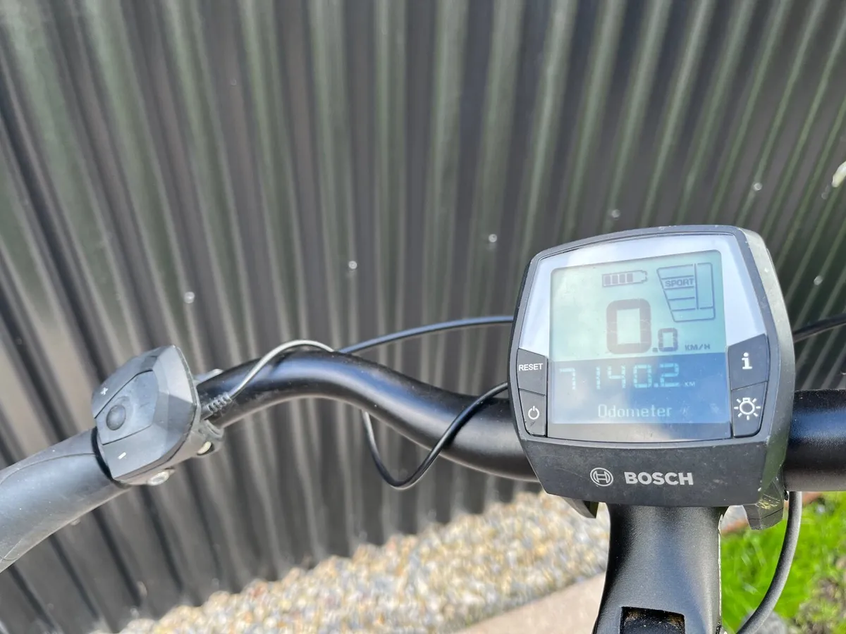Electric Bicycle - Image 4