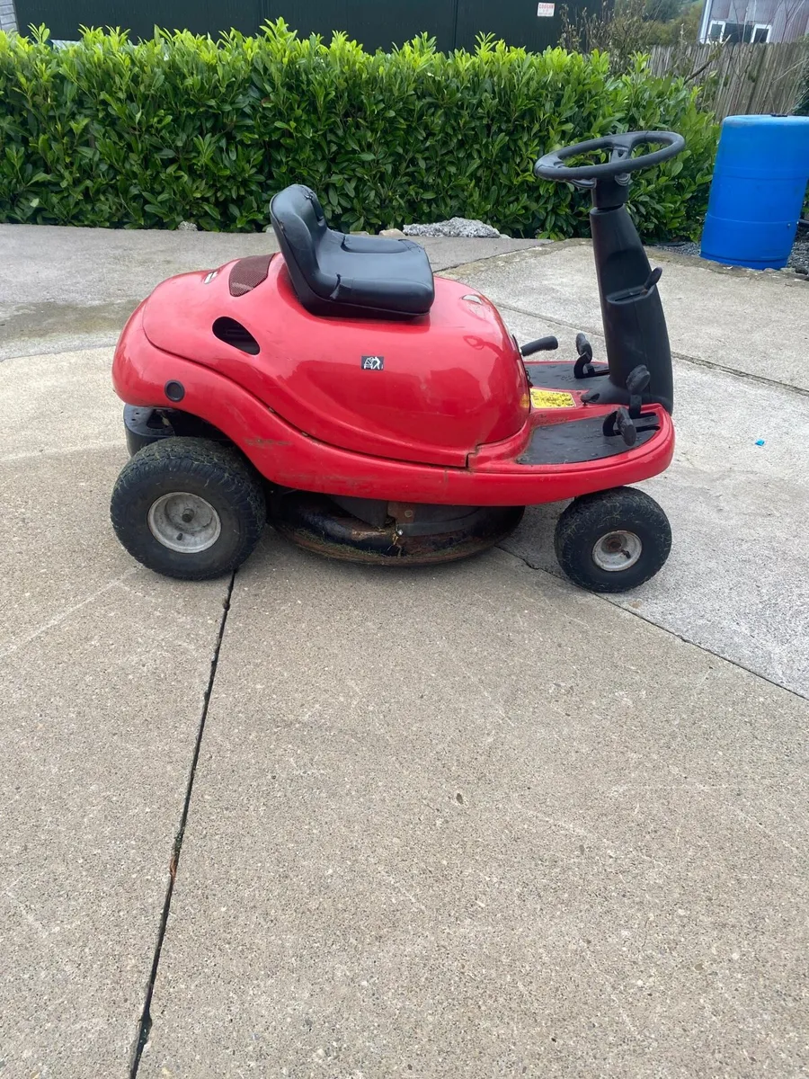 Sit on Lawnmower - Image 1