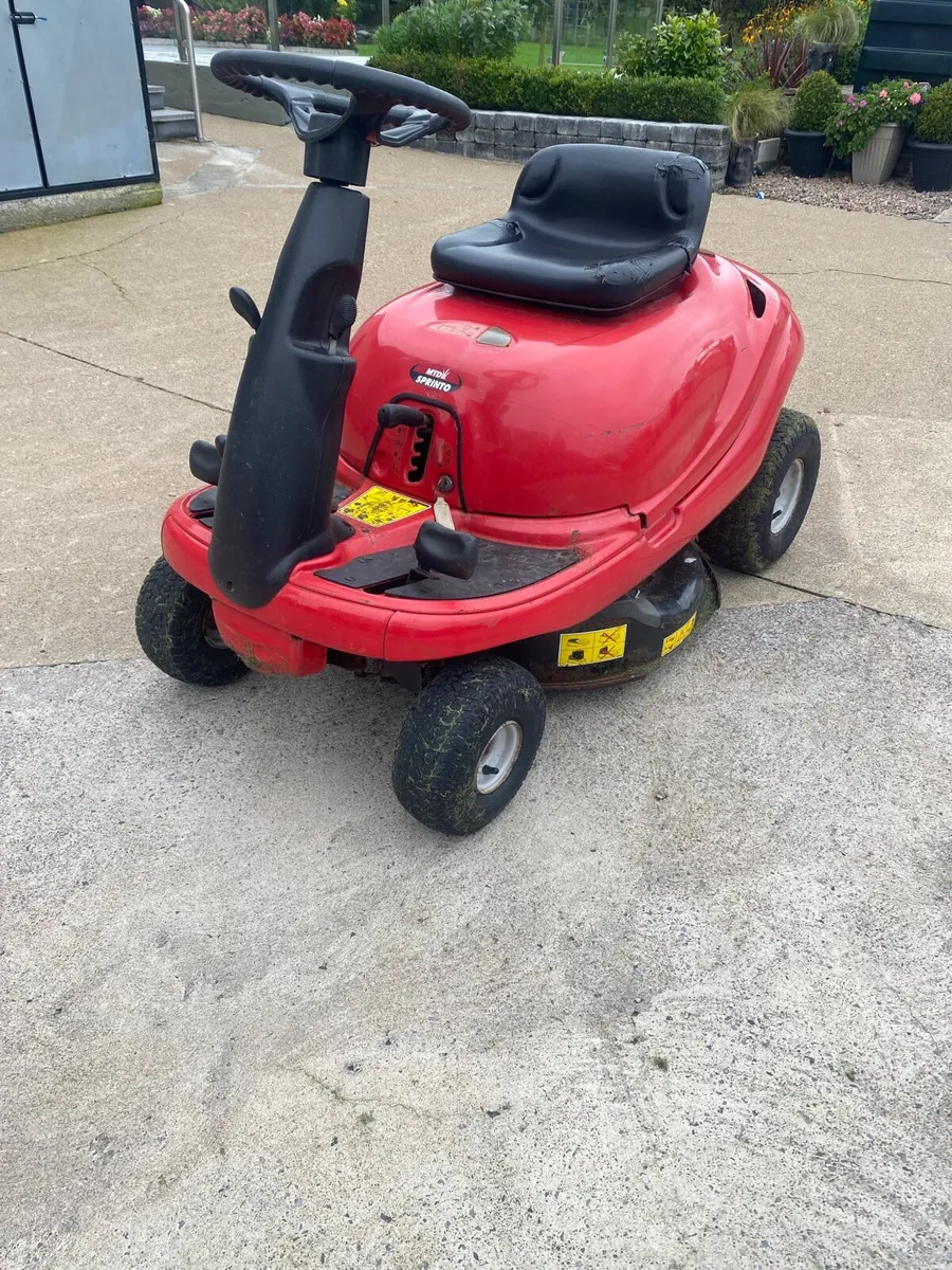 Sit on Lawnmower - Image 2