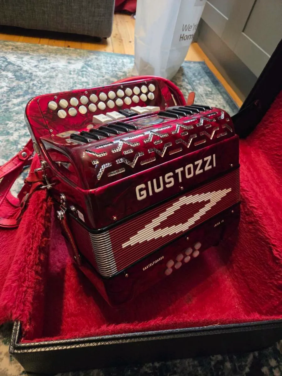 Button Accordion - Image 1