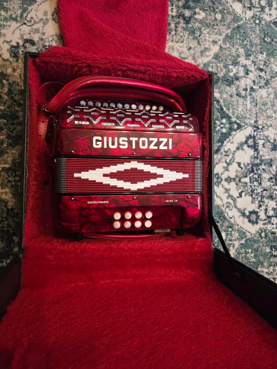 Button Accordion - Image 3