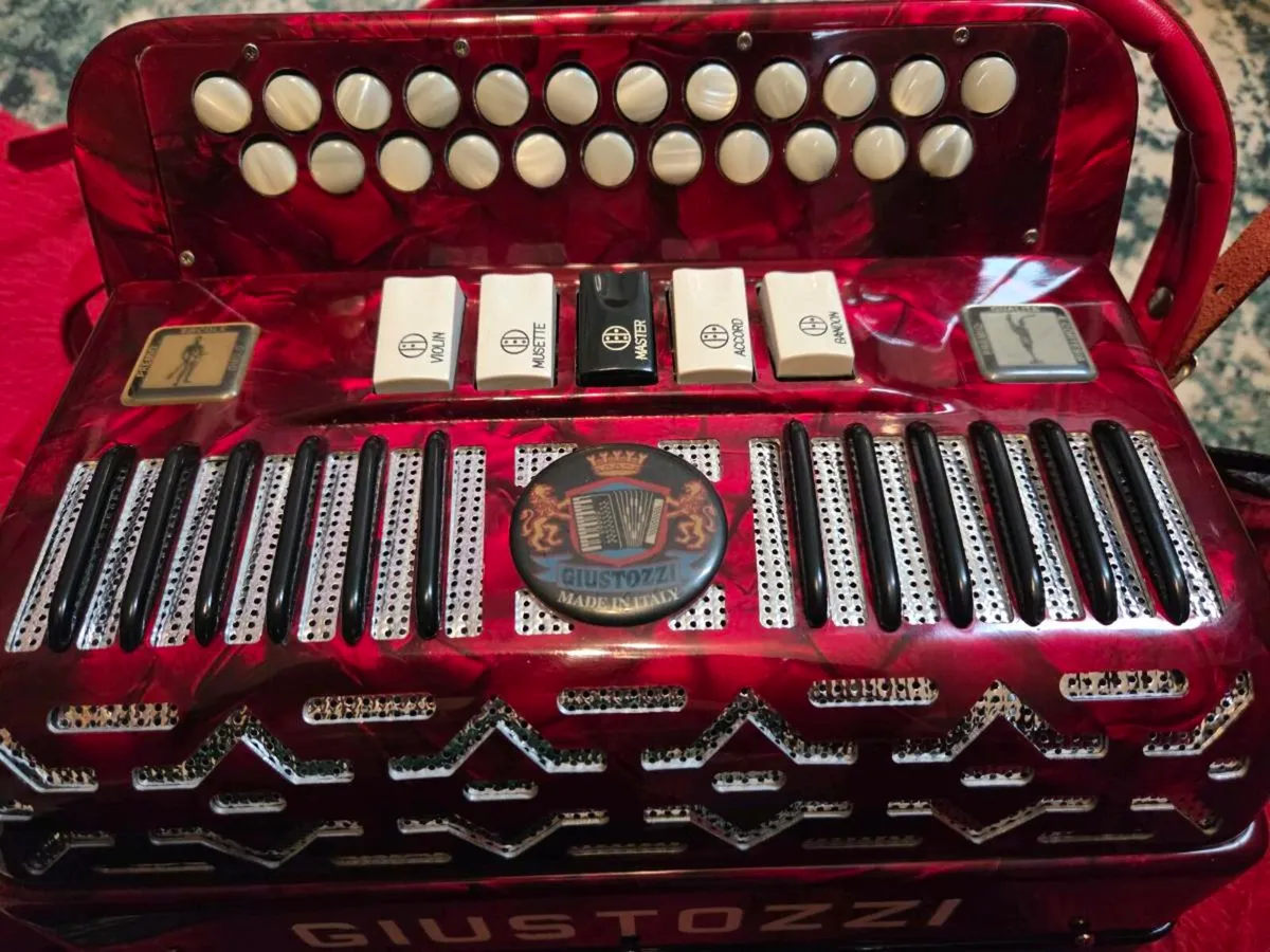 Button Accordion - Image 4