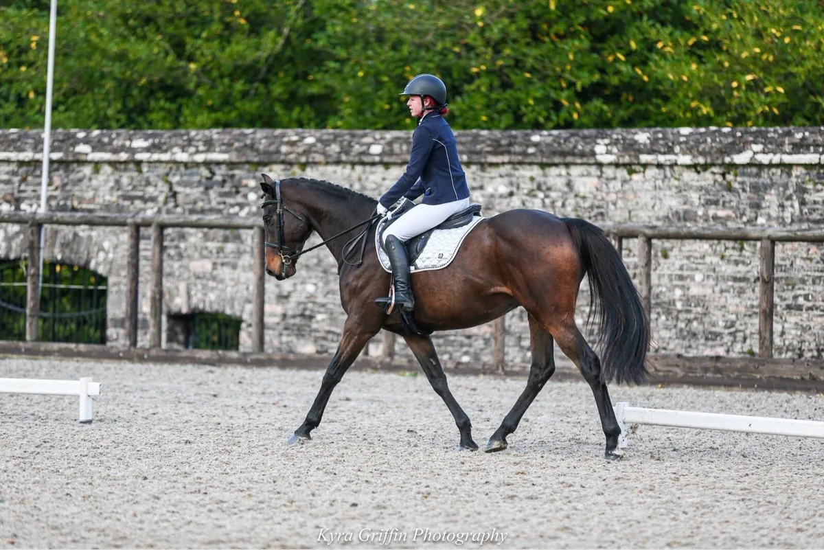 Second horse - Image 1
