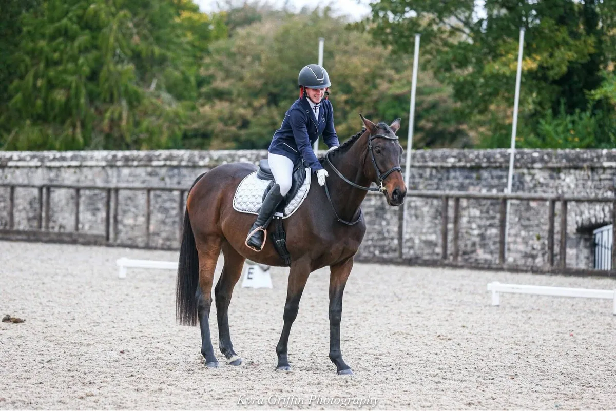 Second horse - Image 2