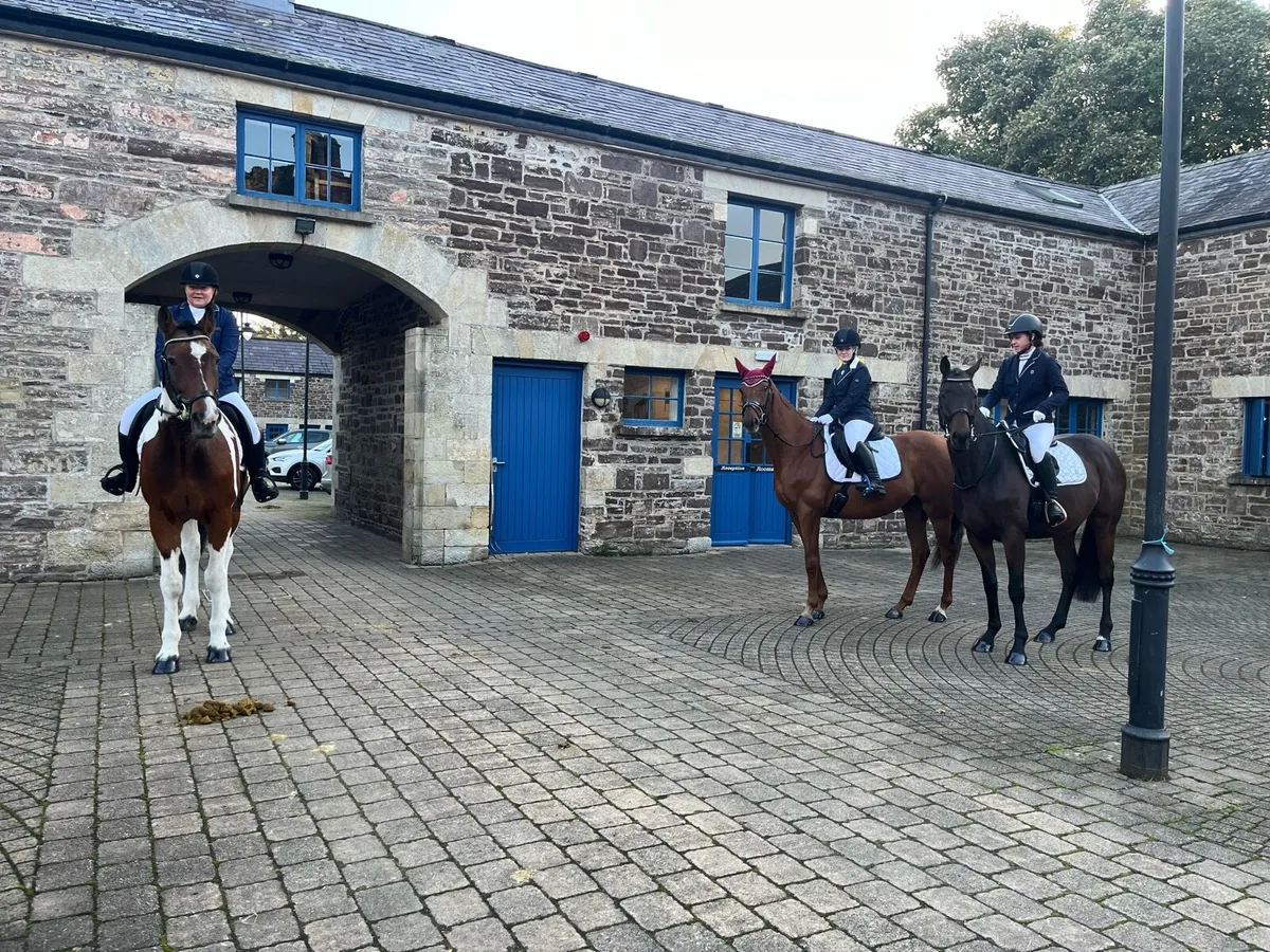 Second horse - Image 4