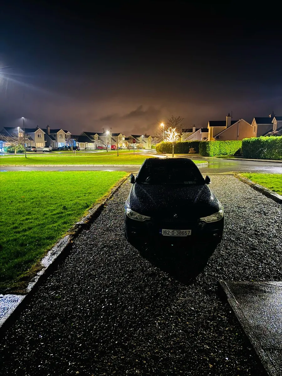BMW 330e 2.0L  Petrol/plug-in hybrid electric - Image 2