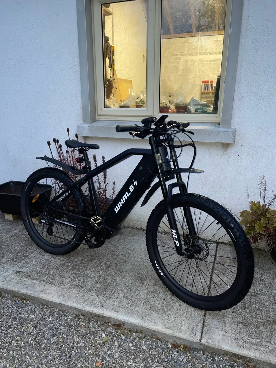Electric bike - Image 1