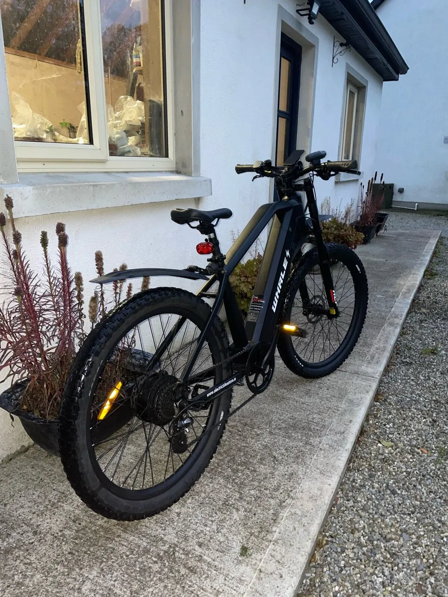 Electric bike - Image 2