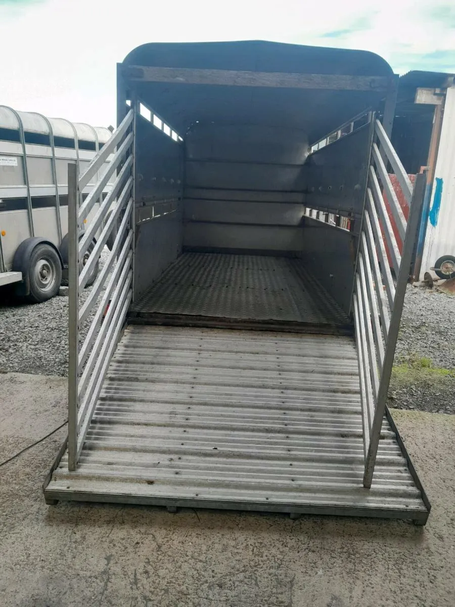 Ifor  williams cattle trailer12by6 cal 0868782672 - Image 4