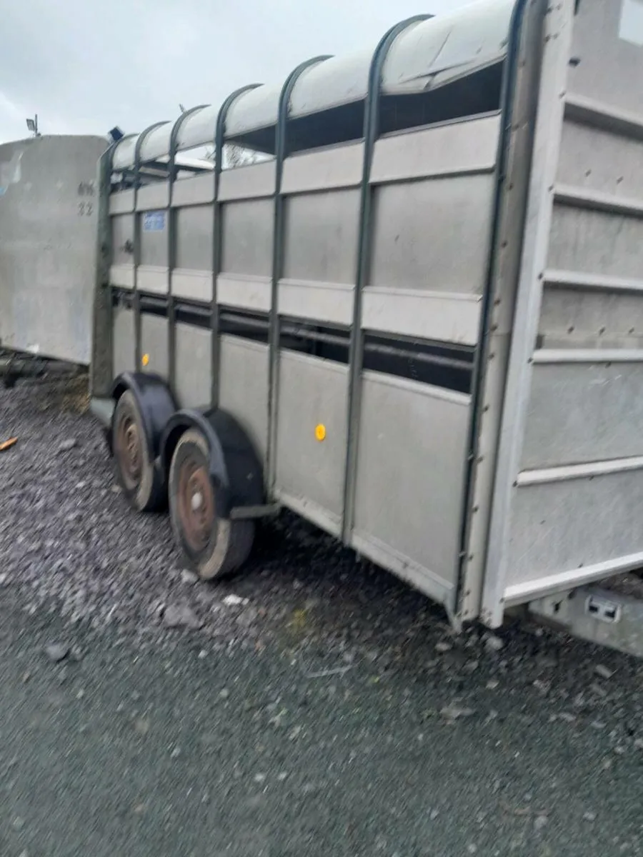 2Ifor  williams cattle trailer12by6 cal 0868782672 - Image 2
