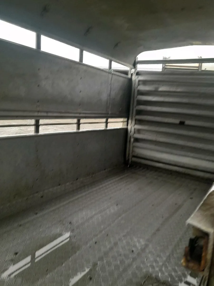 2Ifor  williams cattle trailer12by6 cal 0868782672 - Image 3