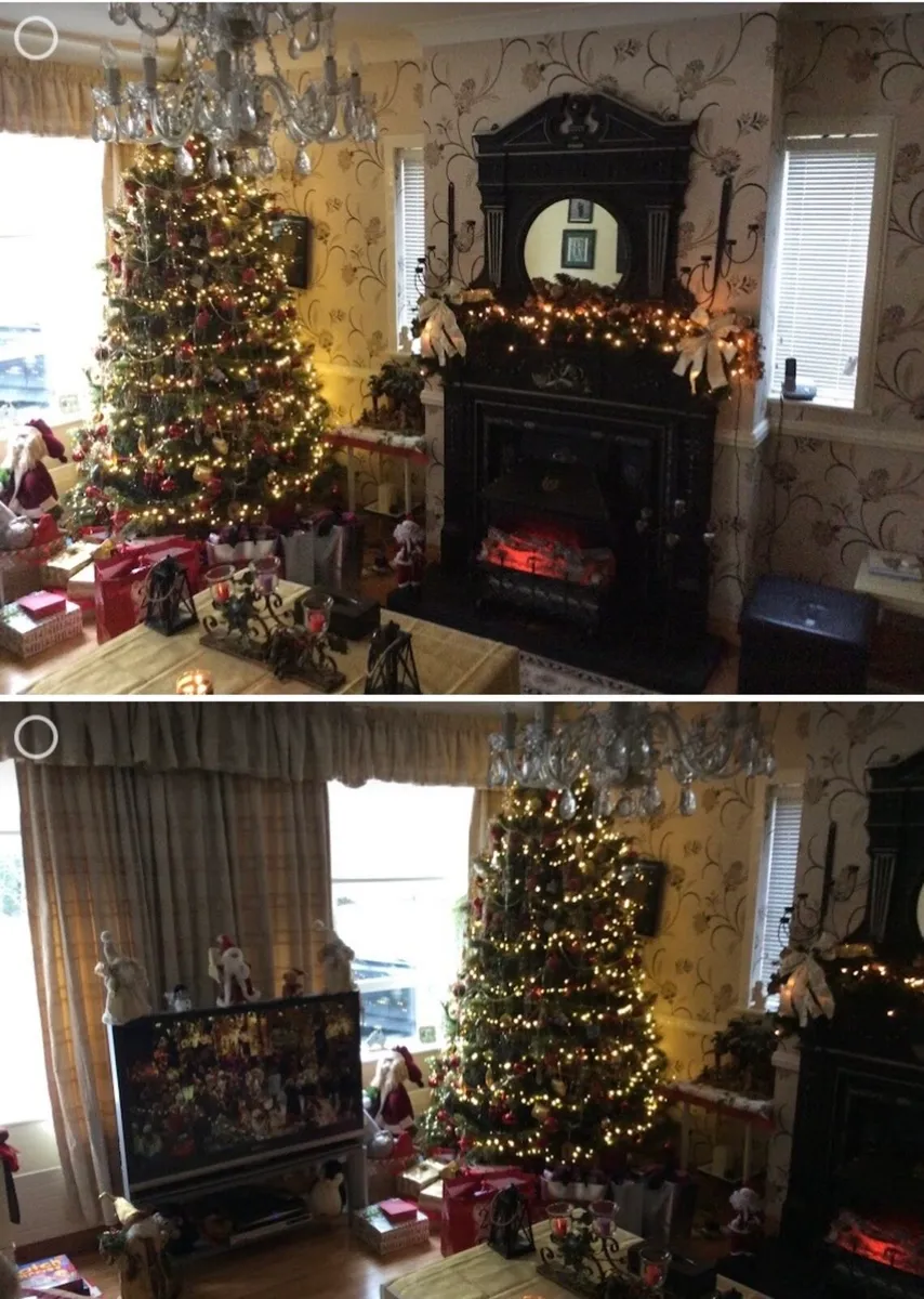 Christmas Tree - Image 4