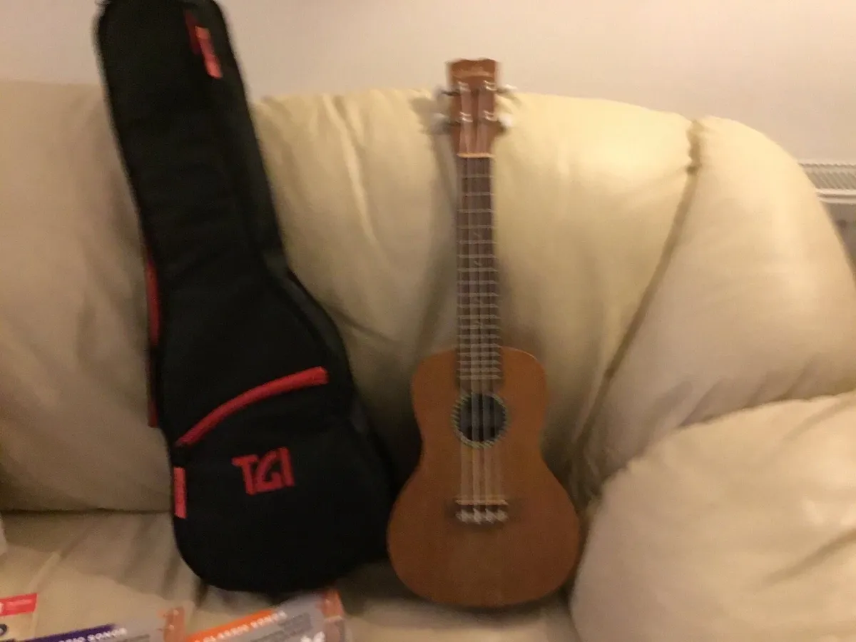 Ukelele, bag and books - Image 2
