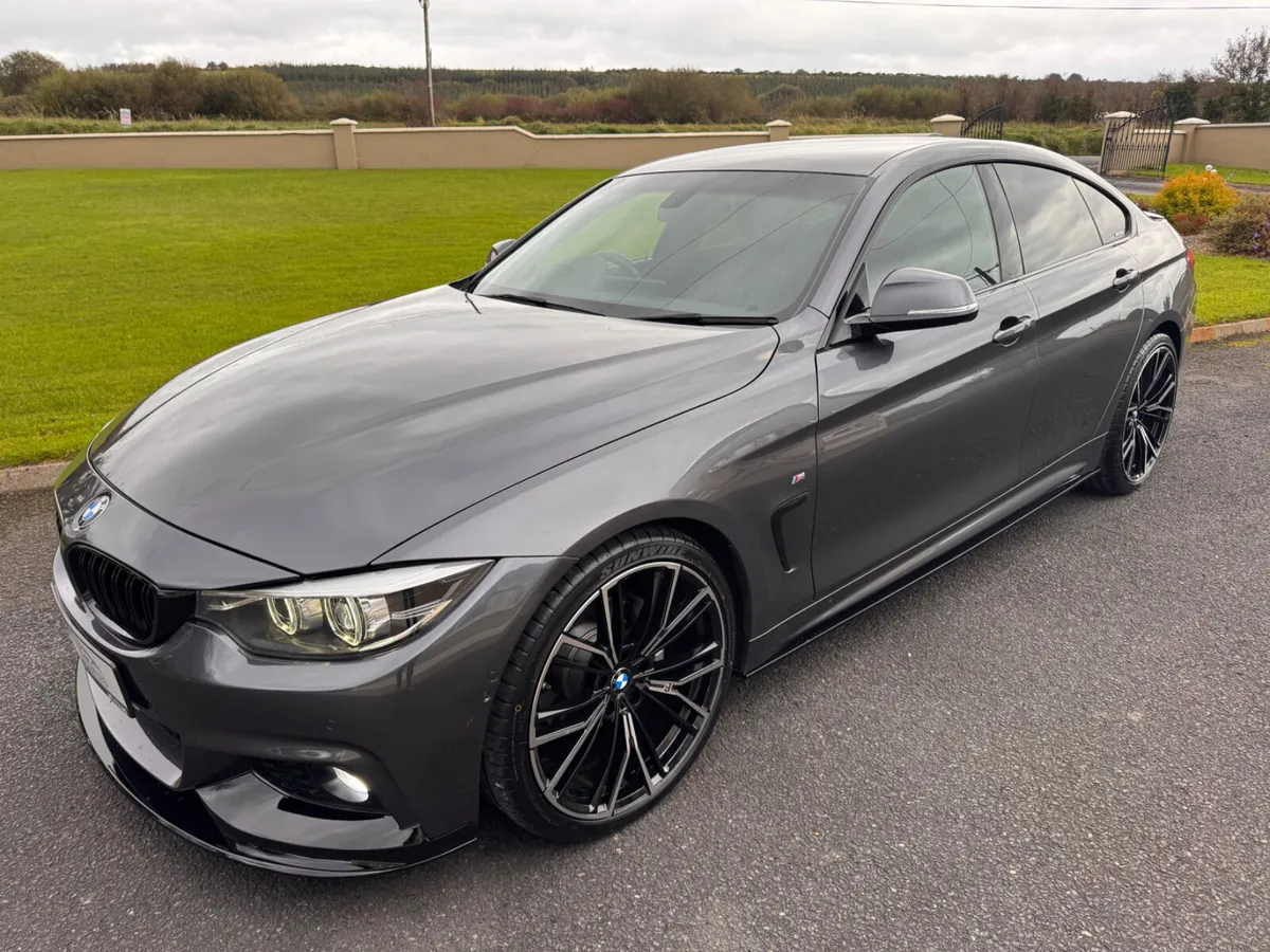 2019 (192) BMW 420D M-Sport - Image 1