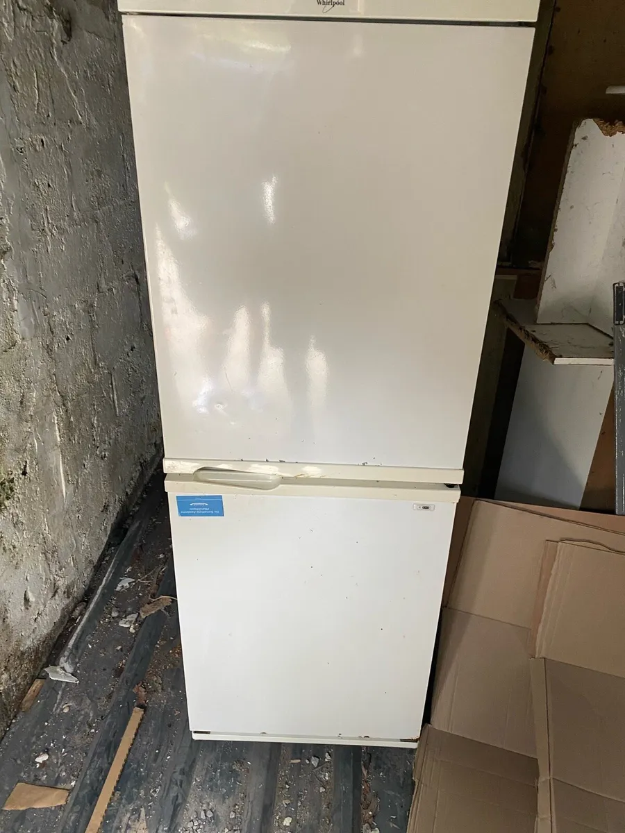 Fridge Freezer - Image 1