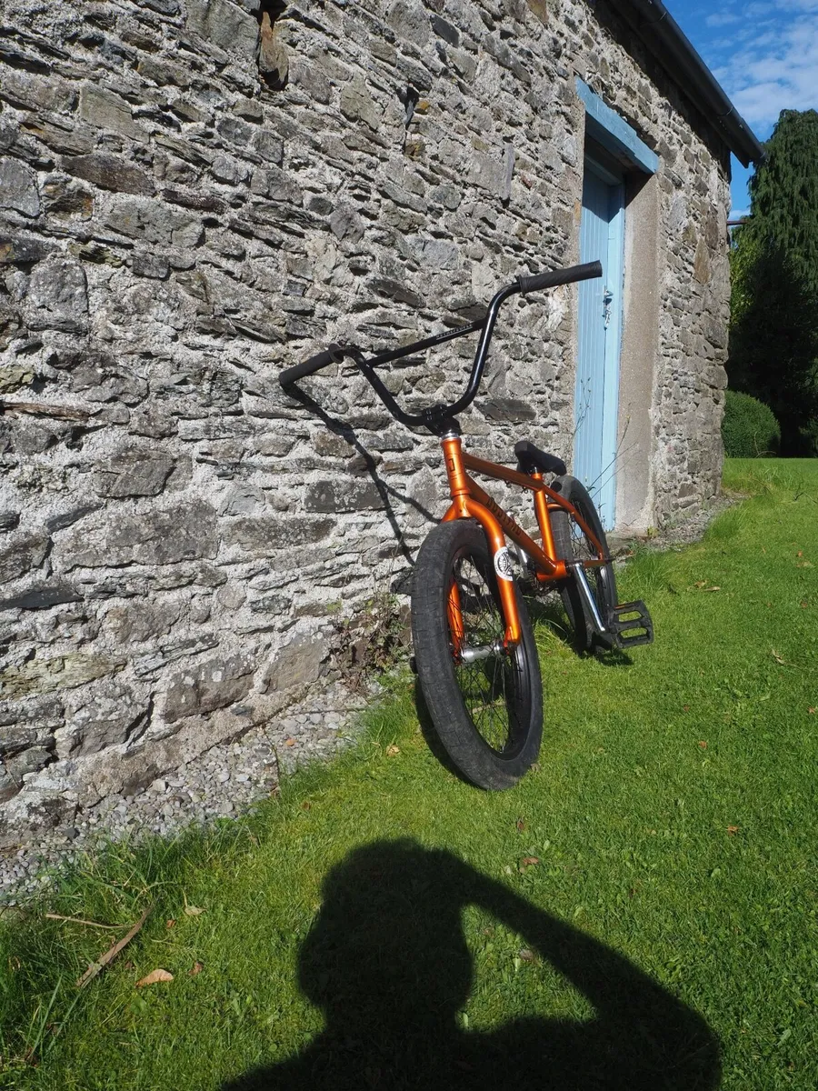 BMX - Image 4