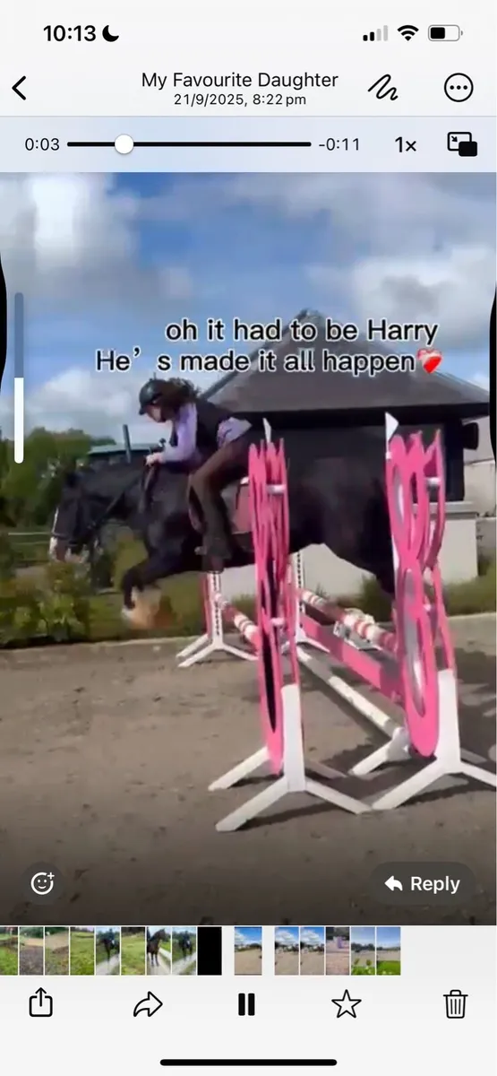 13hh  Cob - Image 2