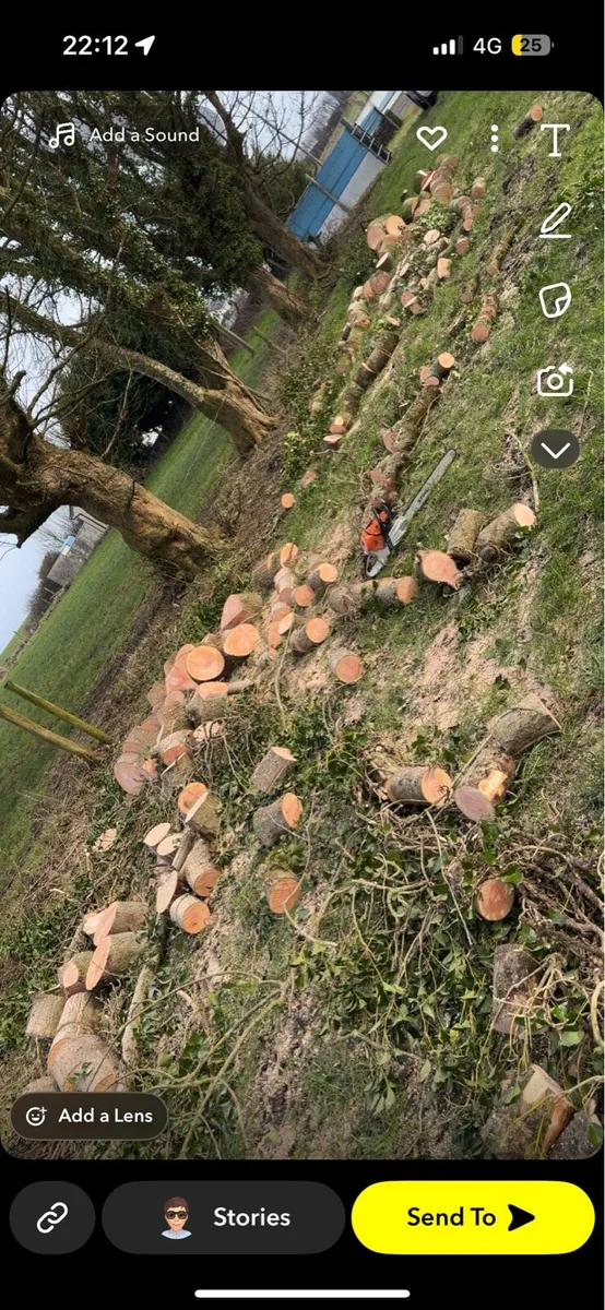 Log splitting service/hire - Image 4