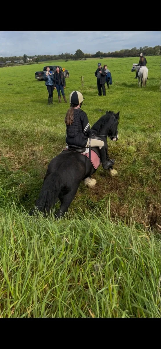 13hh  Cob - Image 3