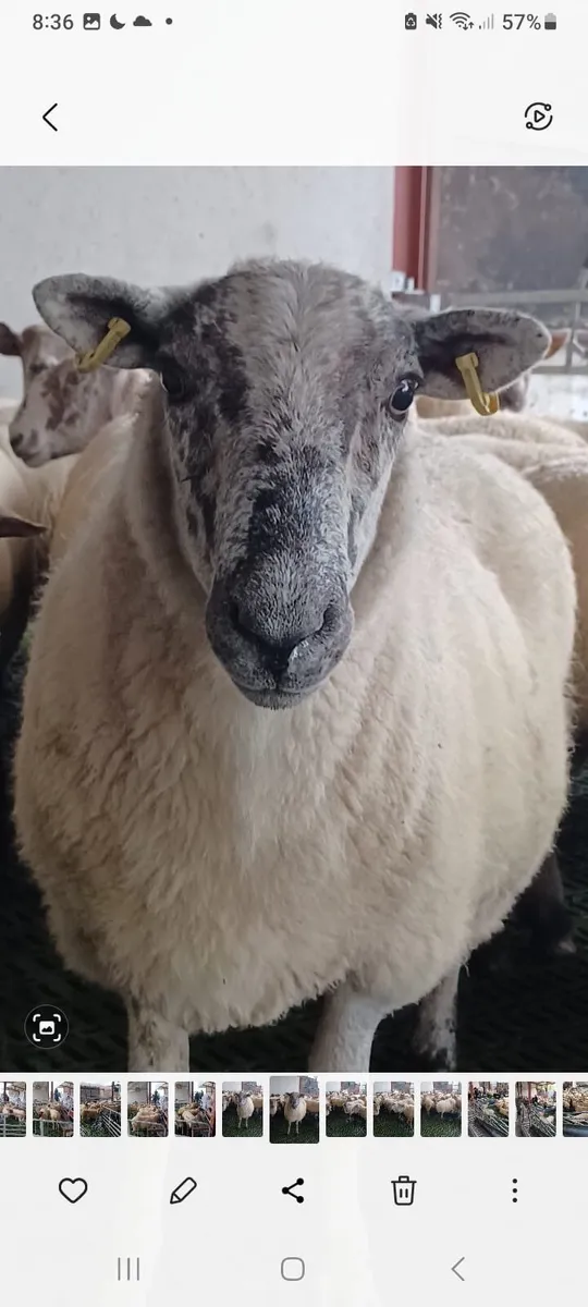 No books - No Hassle - Farm Smarter - Image 2