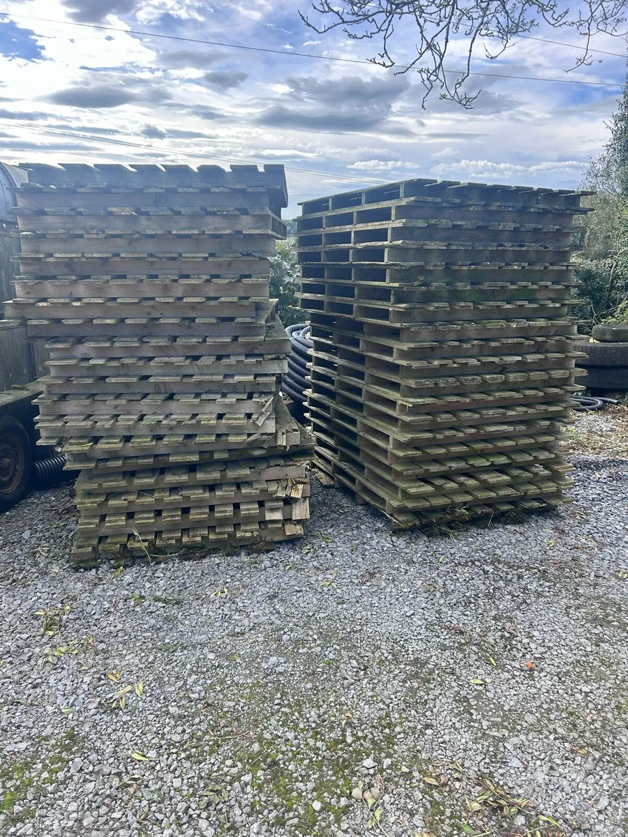 Pallets - Image 3