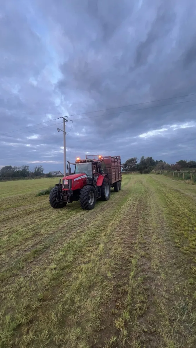Massey ferguson - Image 1