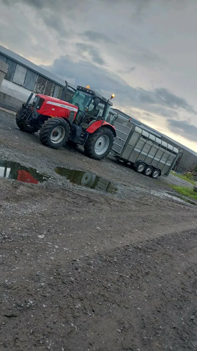 Massey ferguson - Image 2