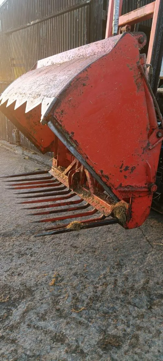 Shear grab - Image 4