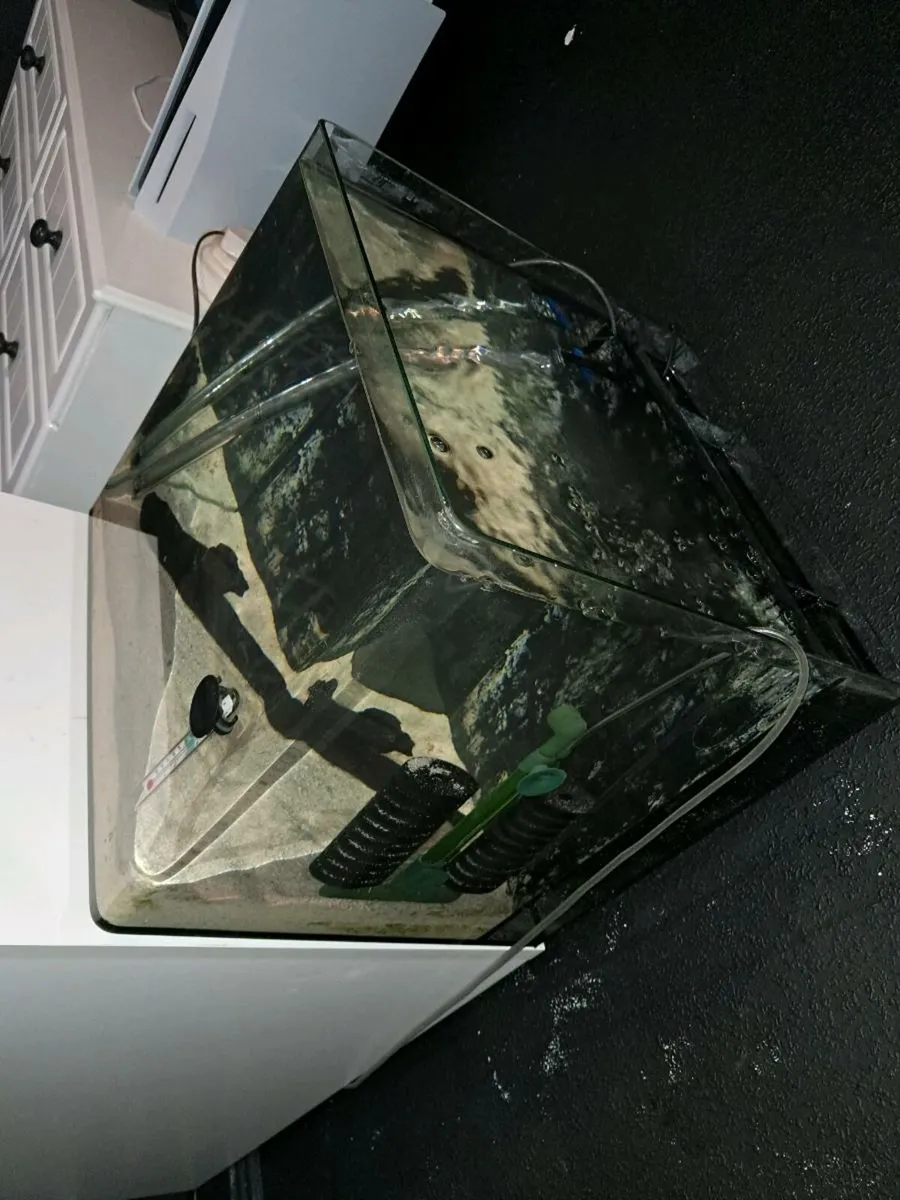 70 litre fish tank - Image 2