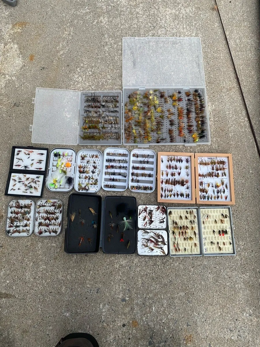 Fly fishing - Image 3