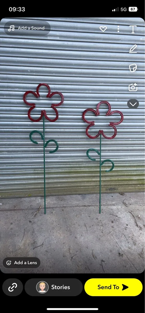 Horse Shoe Flowers 🌸 - Image 1