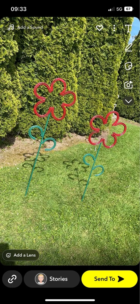Horse Shoe Flowers 🌸 - Image 2