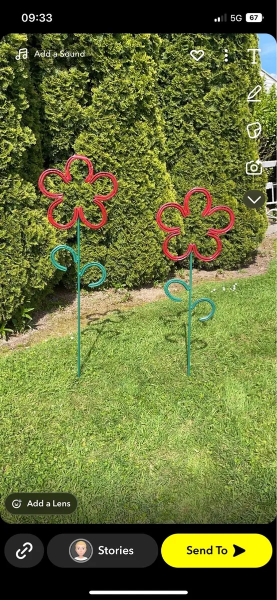 Horse Shoe Flowers 🌸 - Image 3