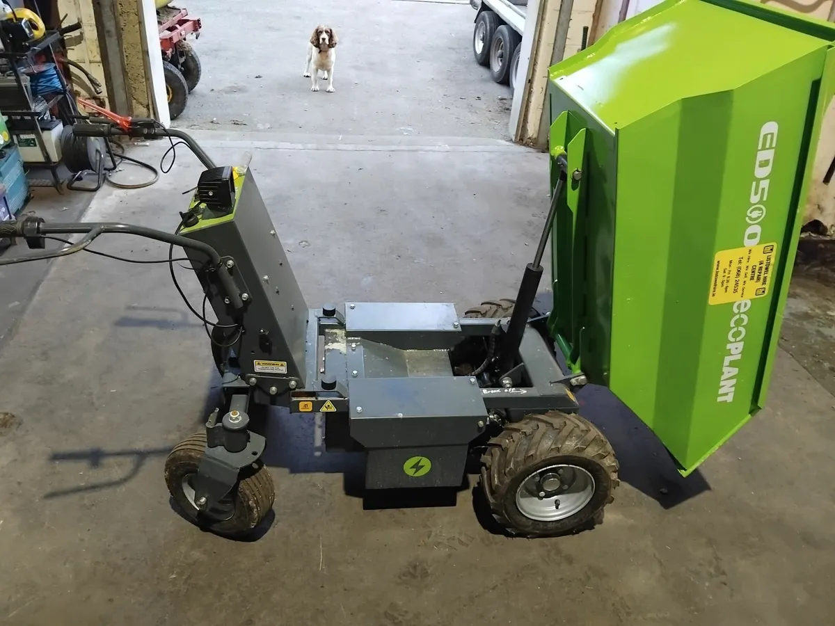 Dumper + Plant Trailer w/ramps - Image 3
