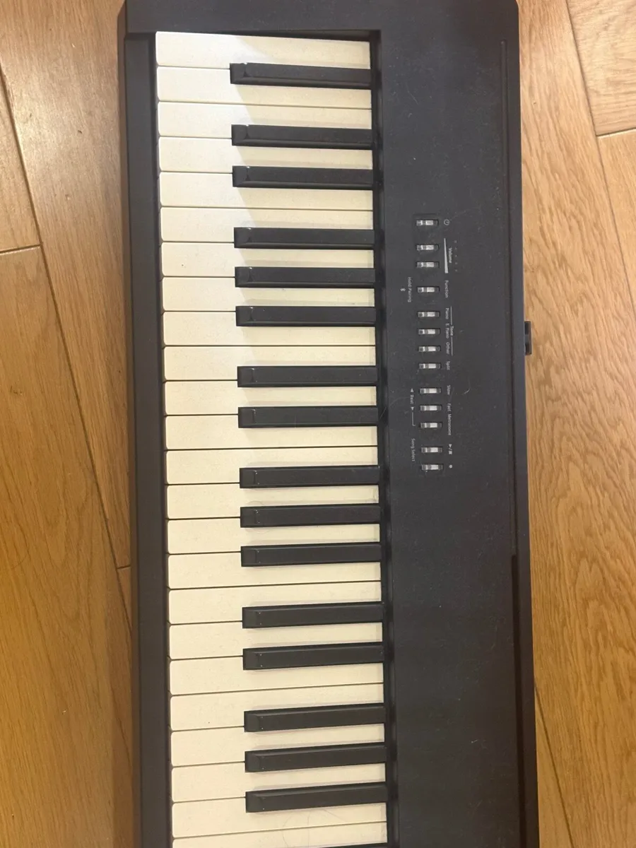 Roland FP-30X Digital Piano + Foot Pedal - Image 2