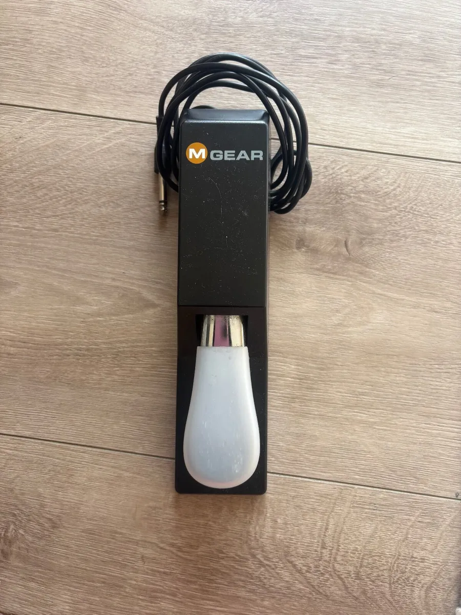Roland FP-30X Digital Piano + Foot Pedal - Image 4