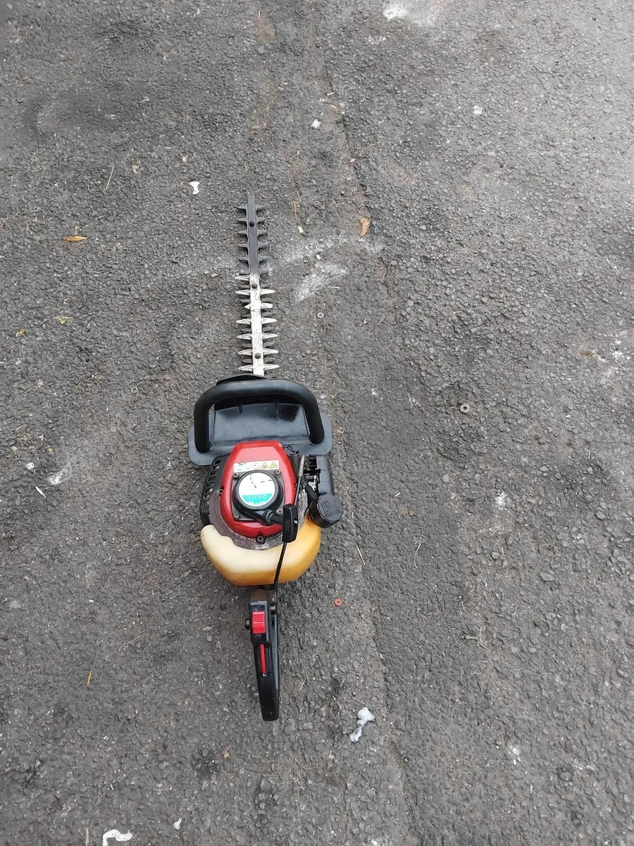 Maruyama HT 2300 hedge strummers priced - Image 2