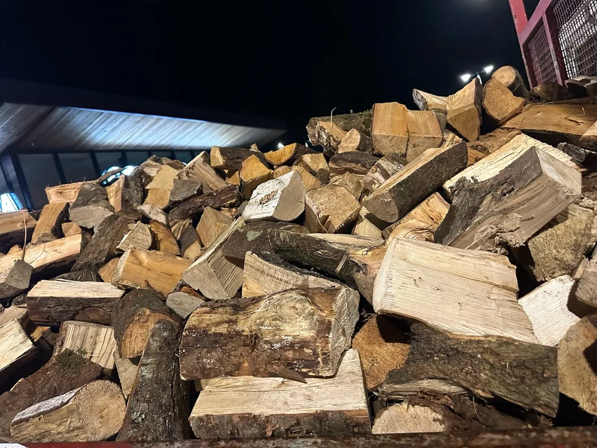 Seasoned Hardwood Logs - Image 3