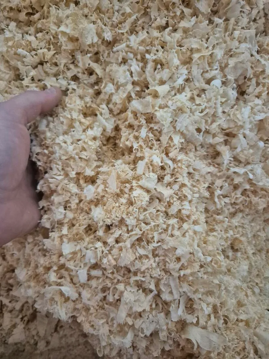 Timber Shavings - Image 3