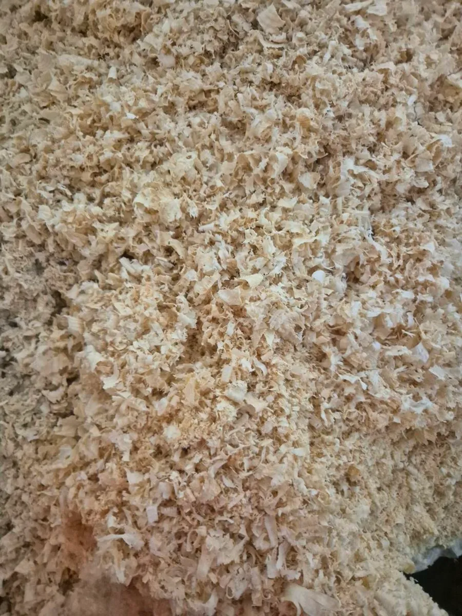 Timber Shavings - Image 4
