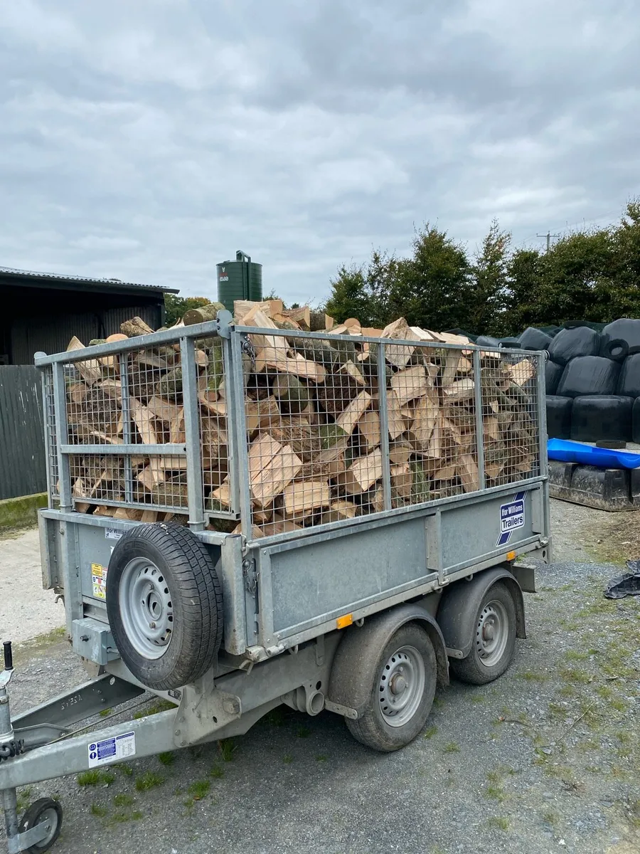 Firewood - Image 1