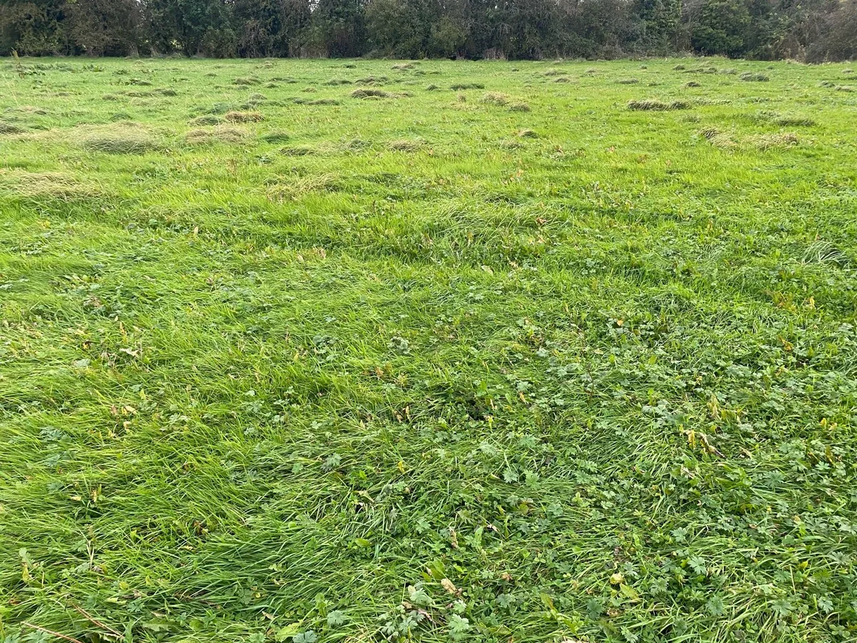 Silage ground,bales - Image 2