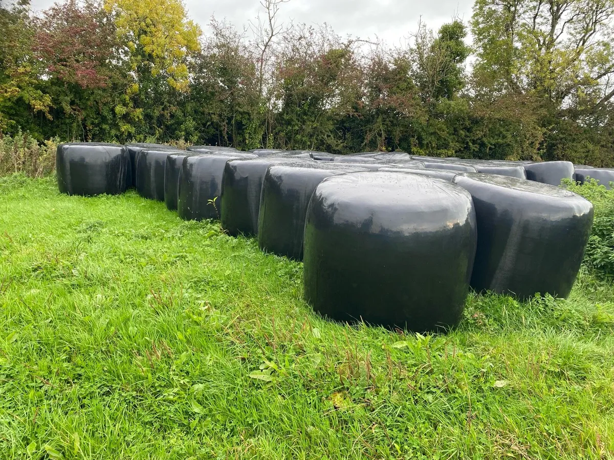 Silage ground,bales - Image 3