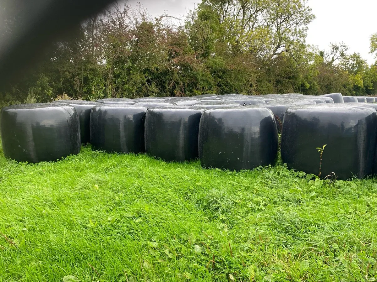 Silage ground,bales - Image 4
