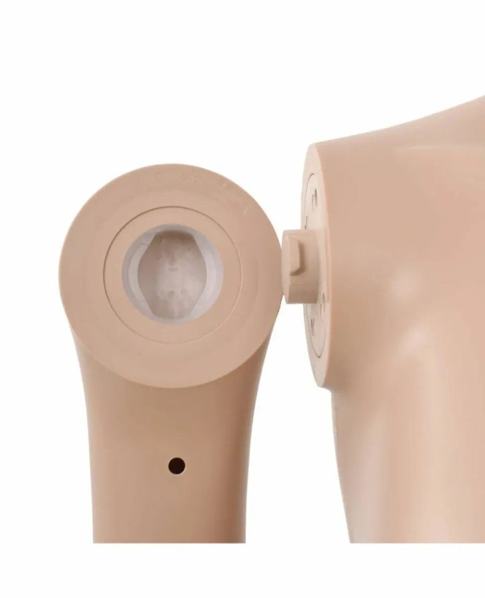 Female mannequin - Image 2