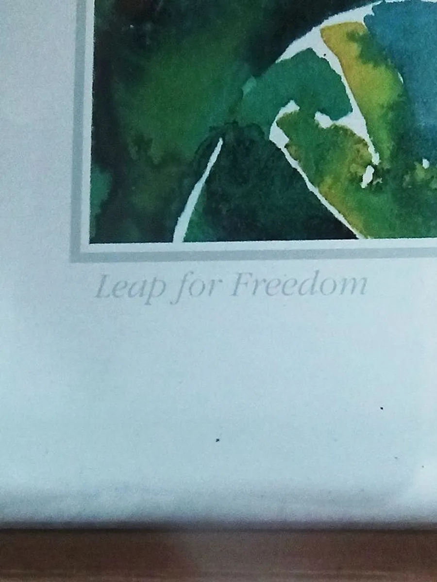 "Leap for freedom" by  Lisa V Keaney  print in wooden glazed frame   size  55.5 x 46cm - Image 4