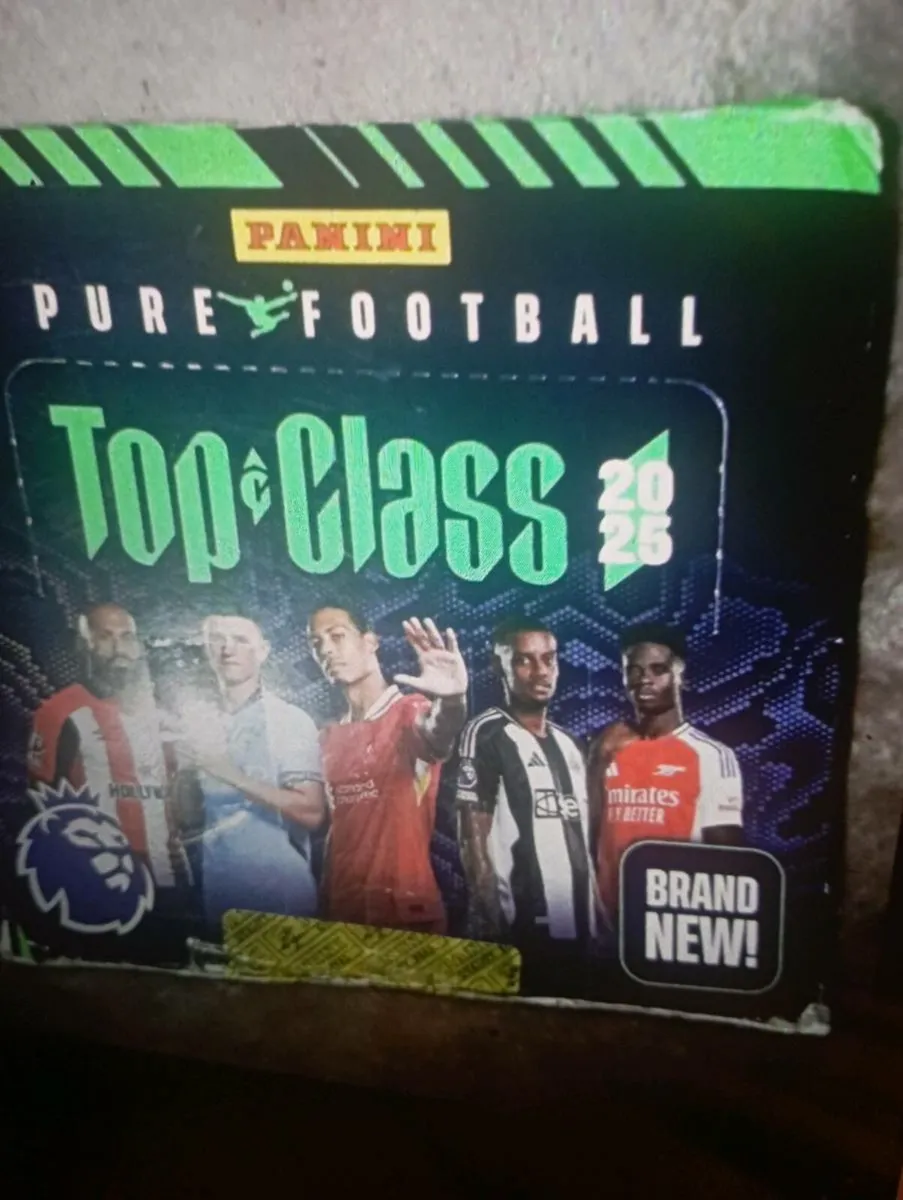 2025 PANIN PURE TRADING CARDS - Image 1