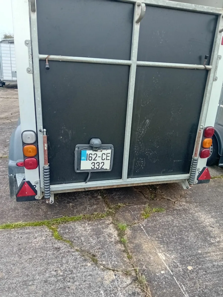 Nugent spirit horse box - Image 2